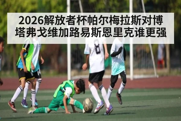 2026解放者杯帕尔梅拉斯对博塔弗戈维加路易斯恩里克谁更强